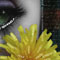 art1